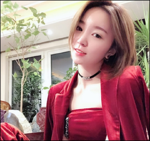 学猫叫登《好声音》获导师转身