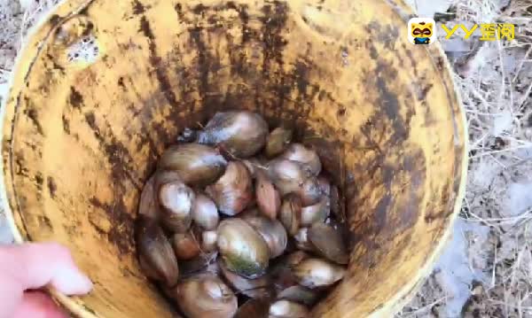 光头强雪天下河捕鱼，手被冻坏！