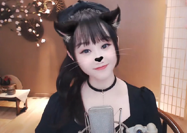 猫咪打扮萌翻粉丝!快来“领养”