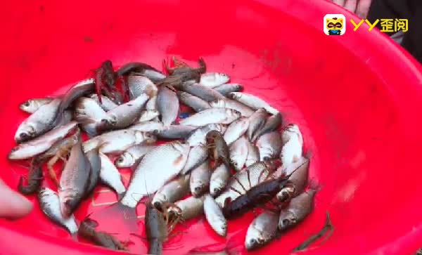 光头强雪天下河捕鱼，手被冻坏！