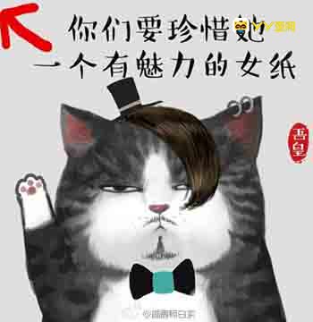 cGIxODU5ZTI3NThmNDVhZTZiY2ZiMmI2MzE4NTY3OTMxMTkxODIzMjQ0ODJwYQ?29716