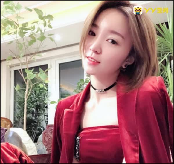 学猫叫登《好声音》获导师转身