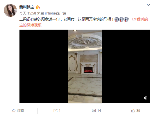豪!鸽宝装修豪宅一个马桶2万
