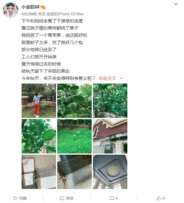 豪!小金娃晒别墅装修