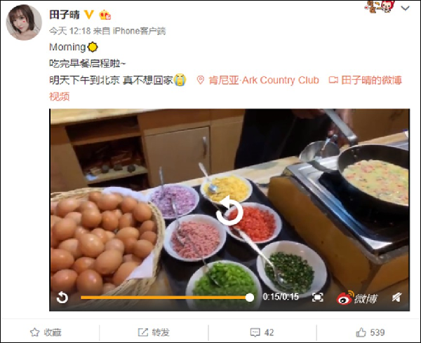 田子晴不想回北京,还要定居非洲