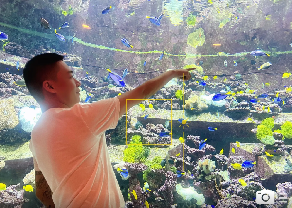 董莹莹晒幸福:刘一手开心带娃