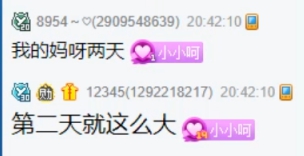 小呵集齐鸡鸭鹅，孵化非常专业！