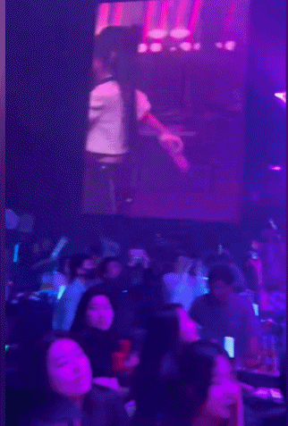 鱼闪闪明星待遇，商演保镖护航！