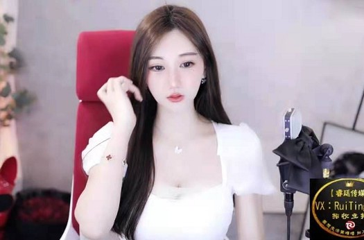 仙气满满!小猫咪白色仙女裙出镜!