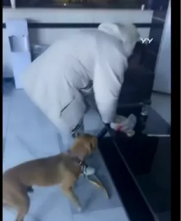 争食?洲嫂嘲讽小洲跟路虎是一家