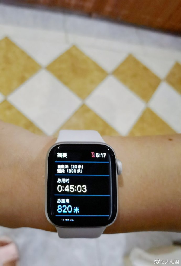 体力惊人！七羽疯狂游泳800米