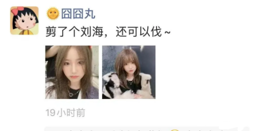 囧囧丸换新发型,气质大变!