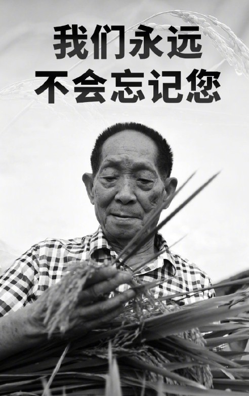 永不会忘记您,众主播悼念袁隆平